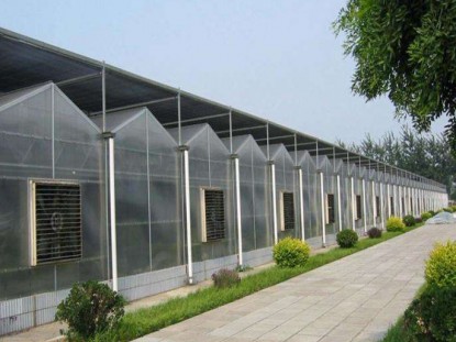 連體陽光板溫室