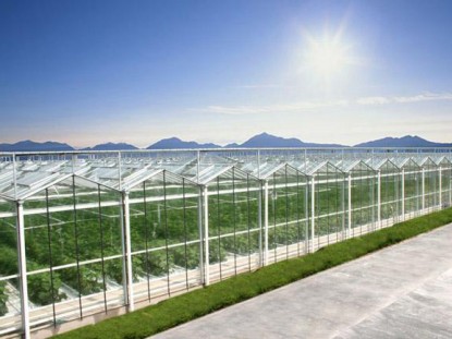 連棟玻璃溫室
