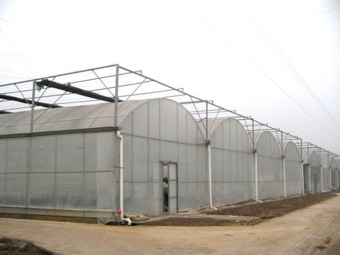 單棟薄膜溫室