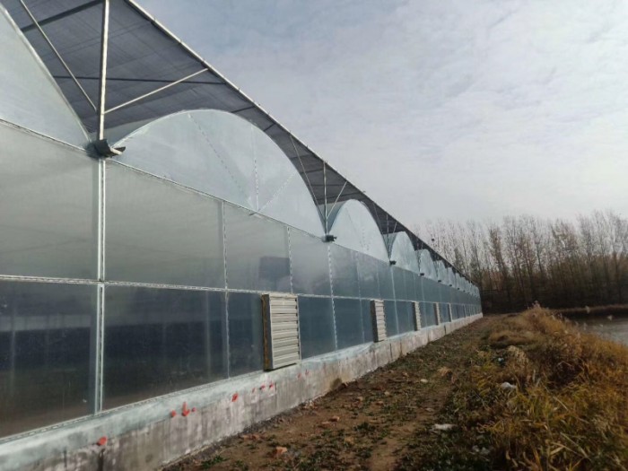 單棟薄膜溫室