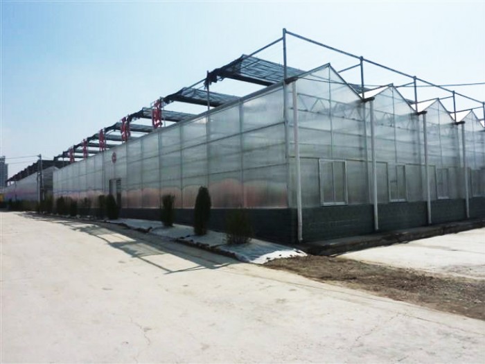 連體陽光板溫室