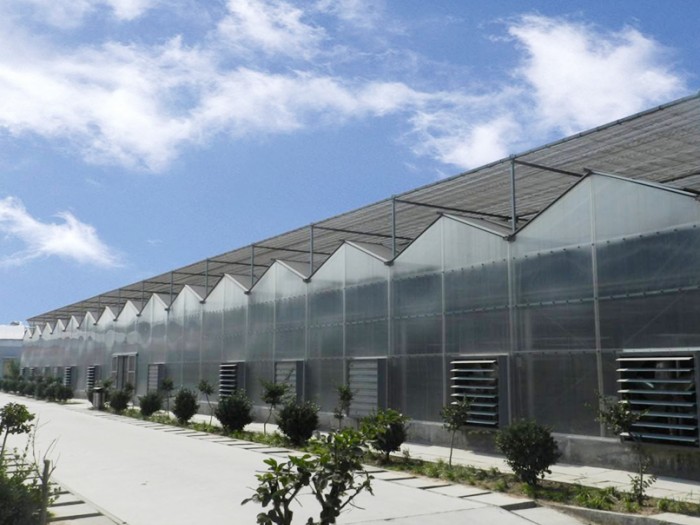 連體陽(yáng)光板溫室