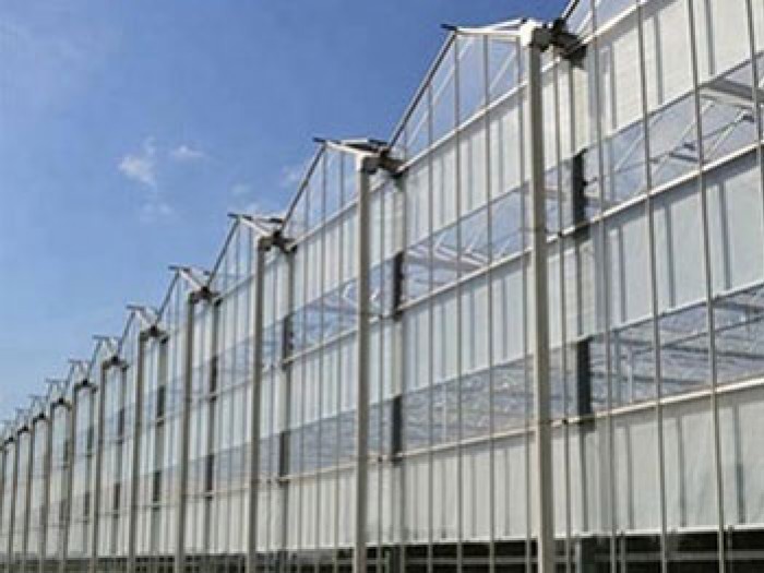 連體陽(yáng)光板溫室