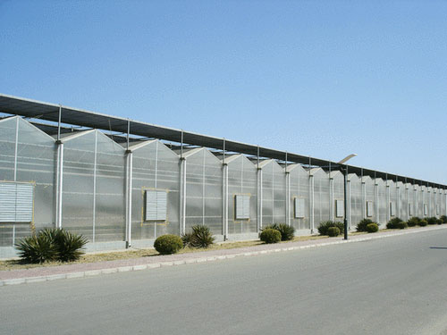 工程案例-青州市澤源農(nóng)業(yè)科技有限公司