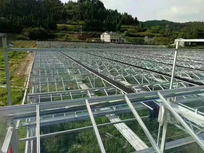 工程案例-青州市澤源農業(yè)科技有限公司