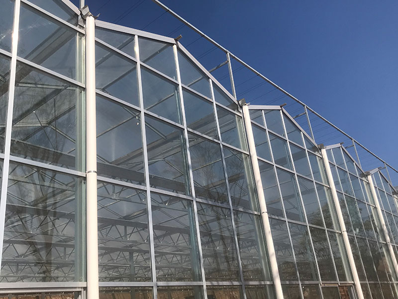 青州市澤源農業科技有限公司